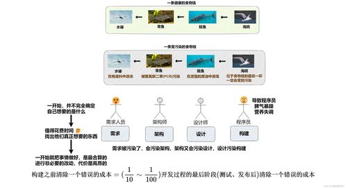 軟件開發過程中前期準備的重要性
